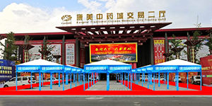 2020年国际（亳州）中医药博览会暨第36届全国（亳州）中药材交易会